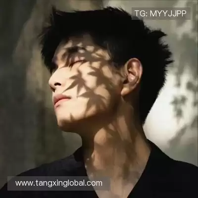 羿垚崇